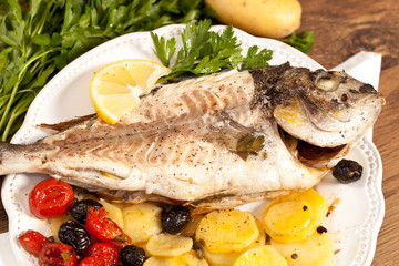 Gilthead fish