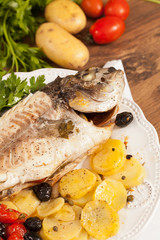 Gilthead fish