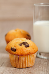 Chocolate muffins