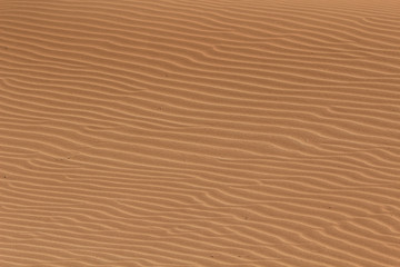 Soil detail, in the Sossusvlei sand dunes, Namib desert