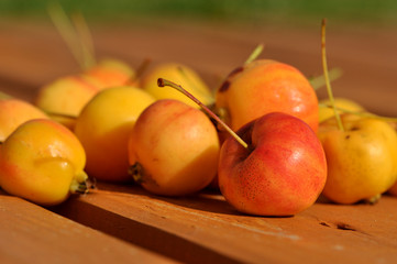 Crabapples2
