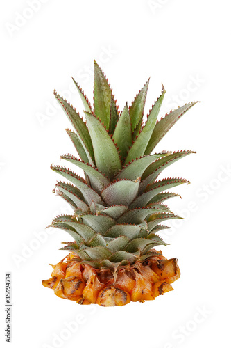 Fresh Pineapple Crown Stock Photo And Royalty Free Images On Fotolia