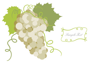 Greeting Card with bunch of grapes