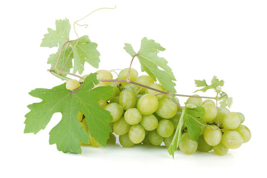 White grapes with leaves