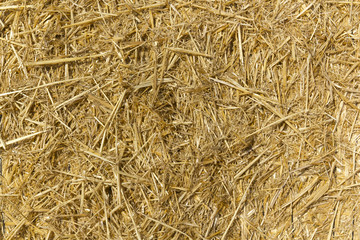 Straw bales