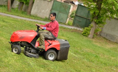 homme tonte de pelouse