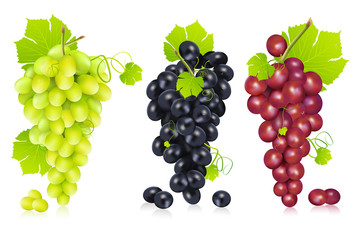 Bunch of Grapes