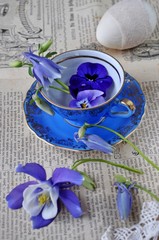 Blüten in antker Tasse