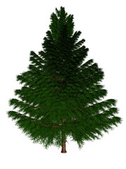 christmas tree isolated on white background