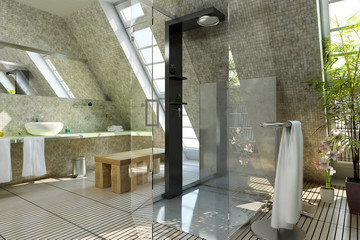 Shower in the bathroom