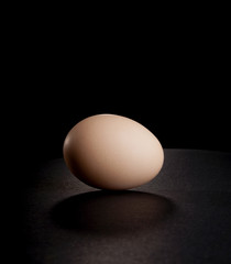 Egg on Black