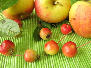 Naklejka na ściany i meble Äpfel und Miniäpfel