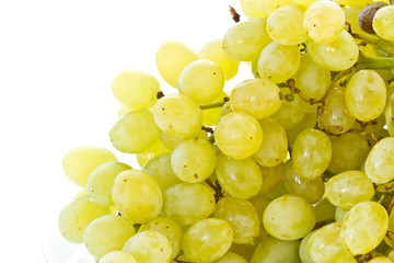 grapes