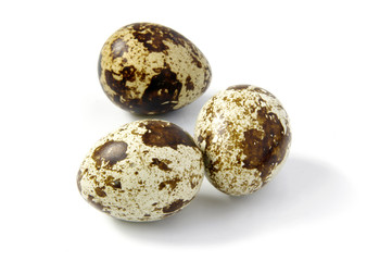 Quail eggs on white