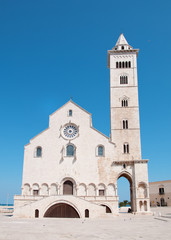 Fototapeta na wymiar Trani katedra, Apulia, Włochy
