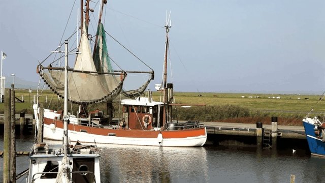 Kutterhafen in Spieka