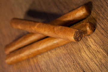 Havana cigars