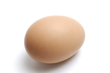 oeuf coquille