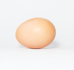One egg on white background