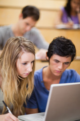 Portrait of students working with a laptop