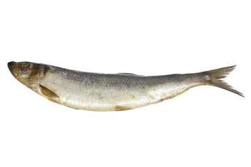 salted herring on white background