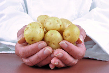 Köchin in einer Kochjacke hält ein paar junge Kartoffeln in ih