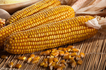 Pannocchie di Mais