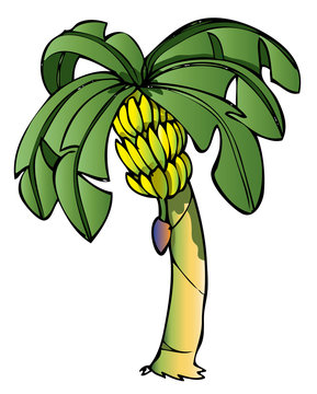 Banana Tree Cartoon Images – Browse 65,296 Stock Photos, Vectors, and Video  | Adobe Stock