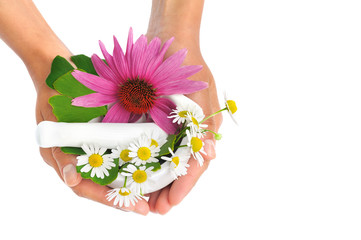 Woman holding mortar with herbs – Echinacea, ginkgo, chamomile