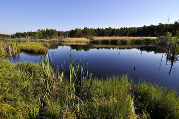 peat lake