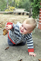 Descubriendo el oto&ntilde;o