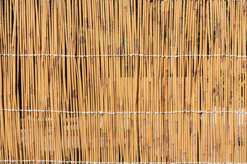 Cane texture