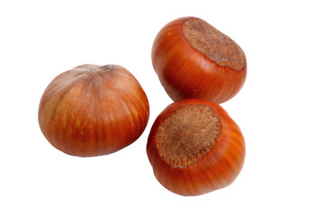 Three hazelnuts