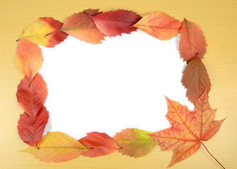 Naklejka na ściany i meble autumn leaves and sheet of paper