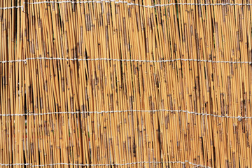 Cane texture