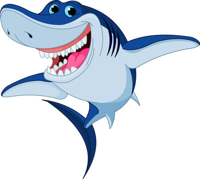 Cartoon  funny shark