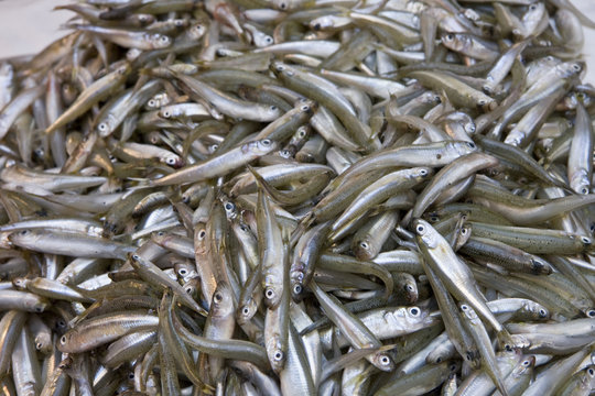 petits poissons fritures