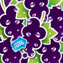 Background from currant with the arrow by organic food. Vector.