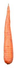Carrot
