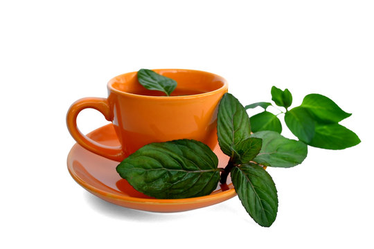 drink with mint leaves