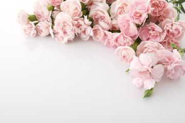 カーネーション