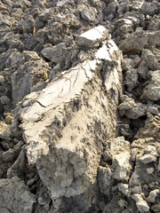 Big Clod