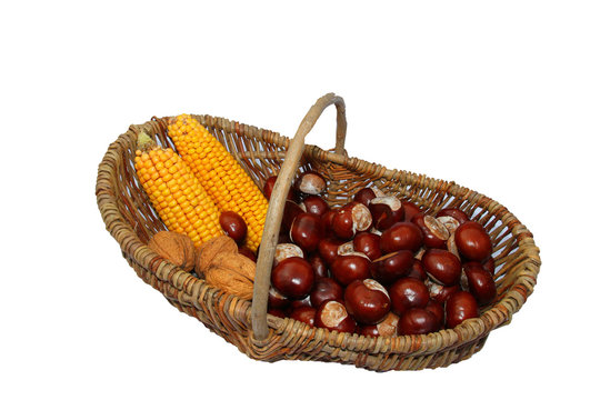 Herbstkorb