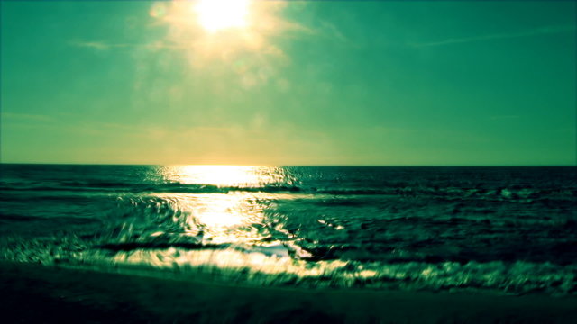 East Prussia, jelly sea time lapse