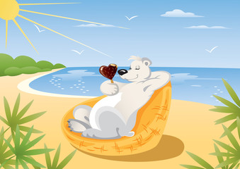 Ours polaire sur la plage