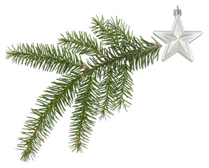 christmas comet - green twig and silver star isolated on white