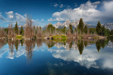 grand teton reflection