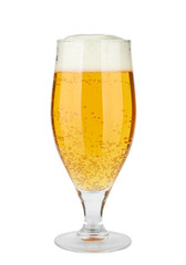 Beer in a glass