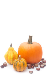 the chestnuts and pumpkins isolated on white