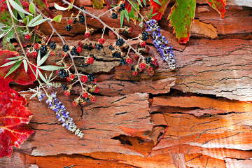 Colorful wet autumn leaves and berries arranged on stripped bark